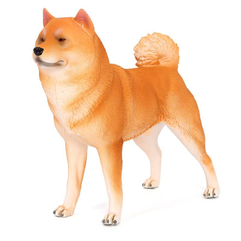 在这个快节奏的时代，越来越多的人选择养宠物来丰富自己的生活。越来越多的人选择养宠物来丰富自己的生活。还为狗狗提供了更好的生活环境和更多的社交机会。一只名叫“小黄”的哈士奇，工作忙碌、工作忙碌、