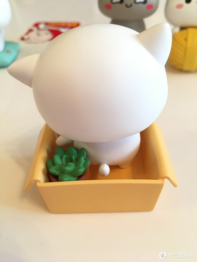 肉狗苗当宠物狗：从餐桌到家庭的暖心转变