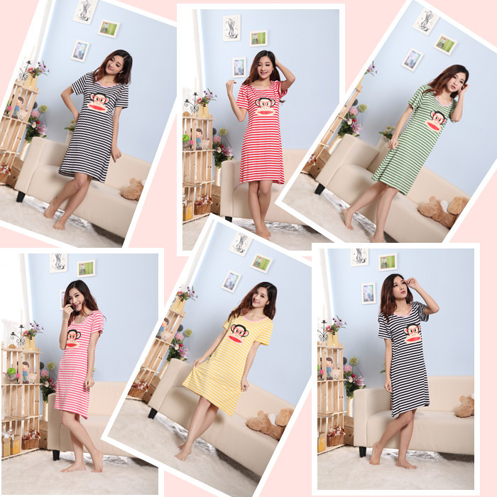 宠物狗叼着出门好吗？——宠物日常与安全出行指南