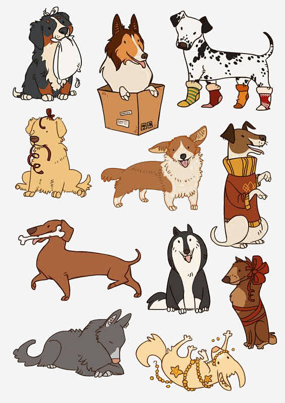 宠物狗出售东西:用爱编织的温馨小生意 宠物狗出售东西:用爱编织的温馨小生意