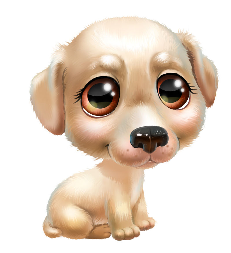 花店头像宠物狗可爱：宠物与生活艺术的完美融合