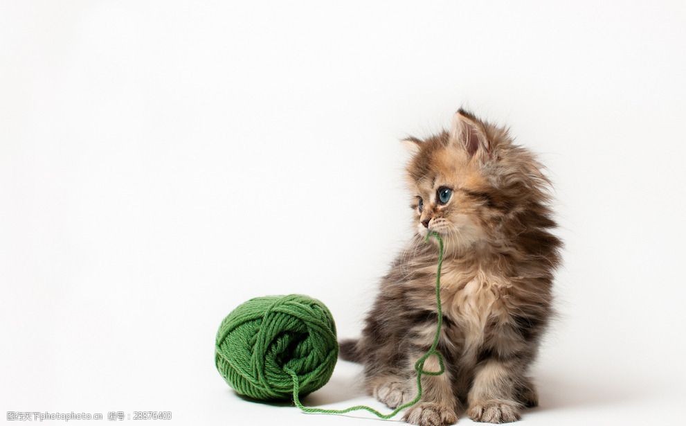 宠物狗垫盆:那些藏在食盆里的暖心小秘密 宠物狗垫盆:那些藏在食盆里的暖心小秘密