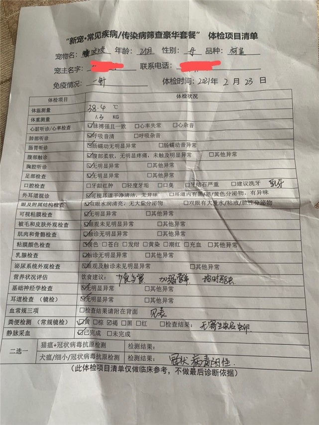 宠物狗冬天不长毛？揭秘宠物毛发护理秘籍